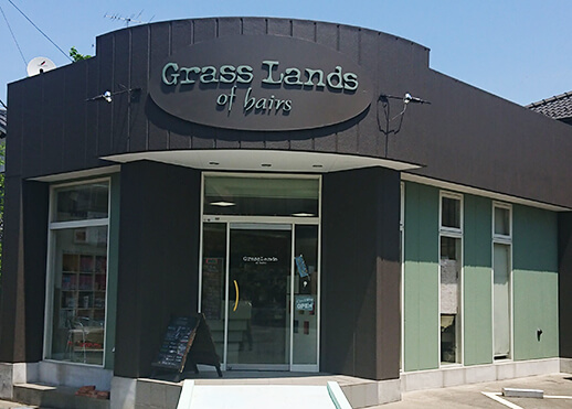 GrassLands of hairs