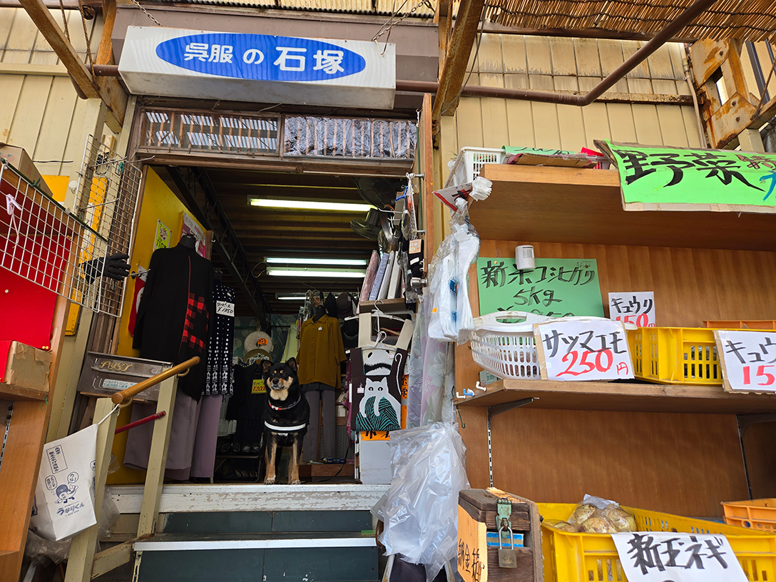 石塚呉服店